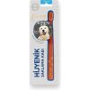 مسواک ظرف نگهداری سگ مجموعه لابرادور برند Flipper کد 1700849170