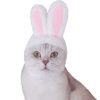 کلاه سگ گربه گوشدار خرگوش سانتی متر برند Mixpet کد 1700764880